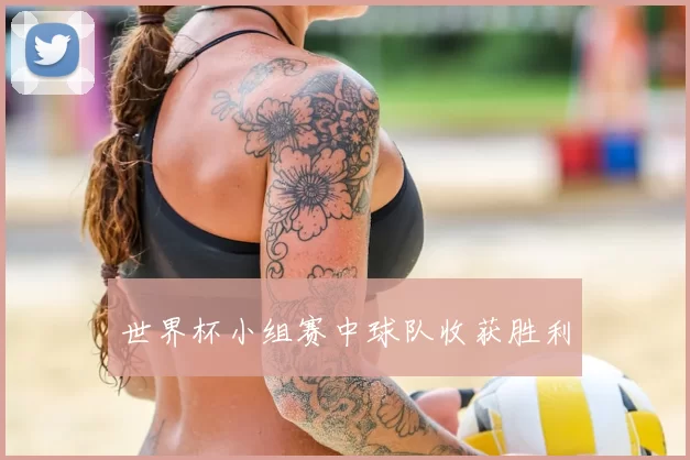 世界杯小组赛中球队收获胜利