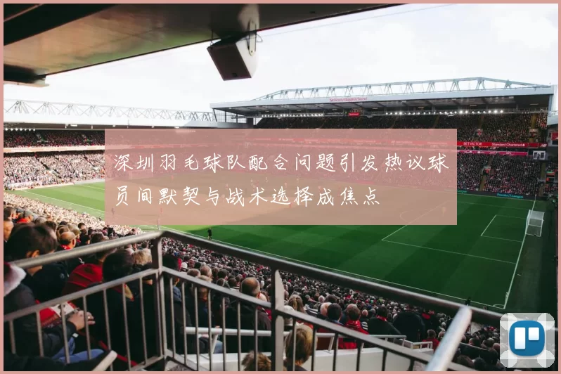 深圳羽毛球队配合问题引发热议球员间默契与战术选择成焦点