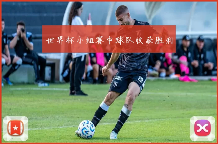 世界杯小组赛中球队收获胜利