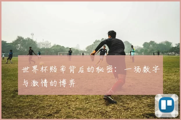 世界杯赔率背后的秘密：一场数字与激情的博弈