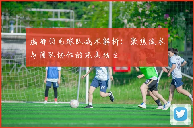 成都羽毛球队战术解析：聚焦技术与团队协作的完美结合