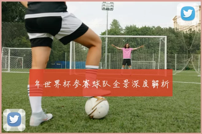 年世界杯参赛球队全景深度解析