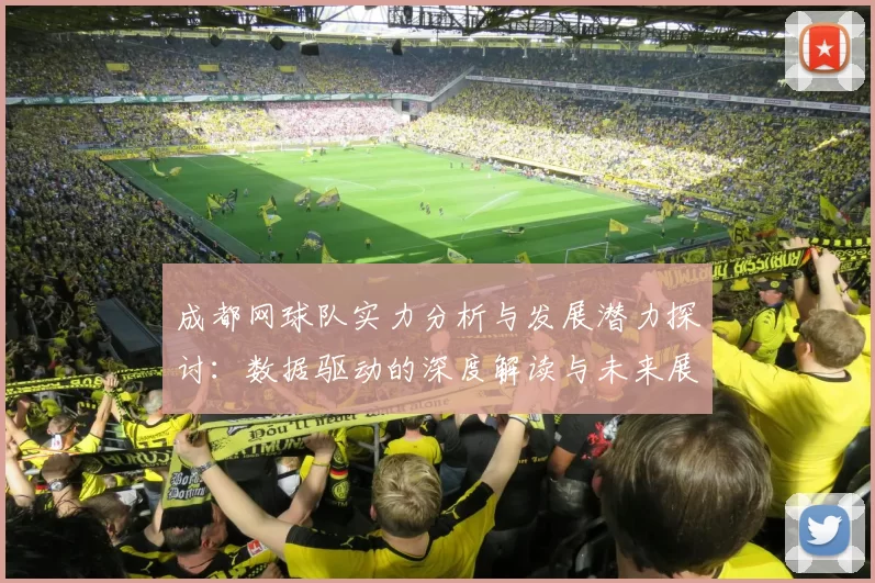 成都网球队实力分析与发展潜力探讨:数据驱动的深度解读与未来展望
