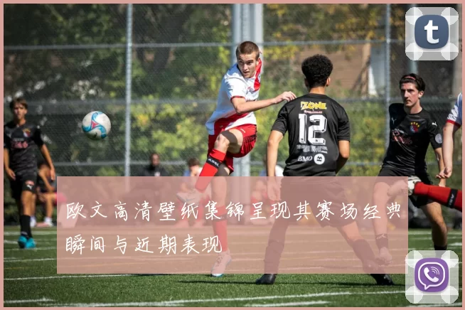 欧文高清壁纸集锦呈现其赛场经典瞬间与近期表现