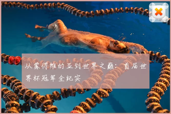 从蒙得维的亚到世界之巅:首届世界杯冠军全纪实