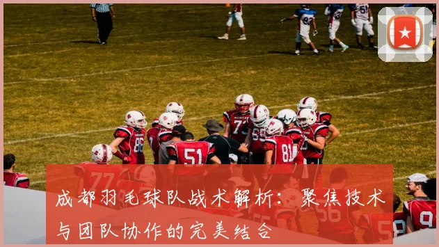 成都羽毛球队战术解析：聚焦技术与团队协作的完美结合