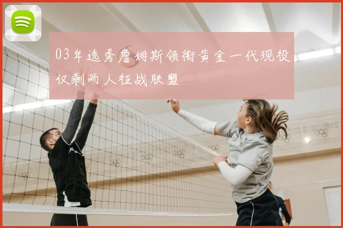 03年选秀詹姆斯领衔黄金一代现役仅剩两人征战联盟