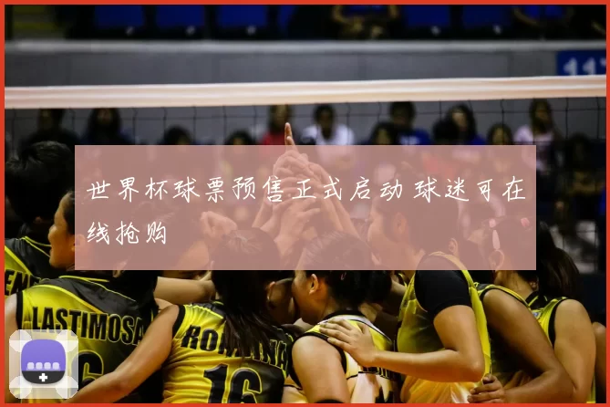世界杯球票预售正式启动 球迷可在线抢购