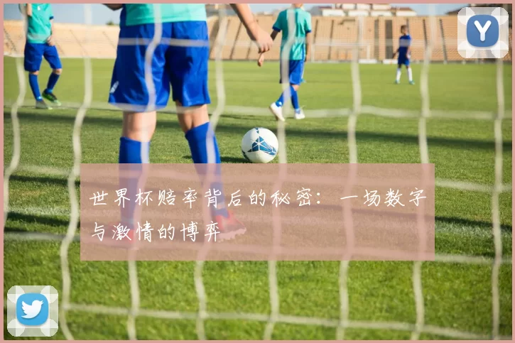 世界杯赔率背后的秘密：一场数字与激情的博弈