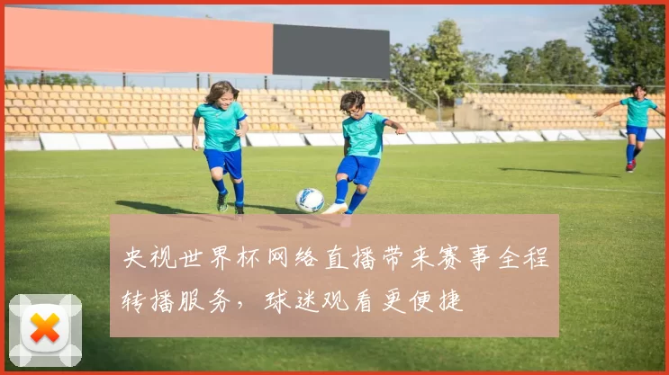 央视世界杯网络直播带来赛事全程转播服务，球迷观看更便捷