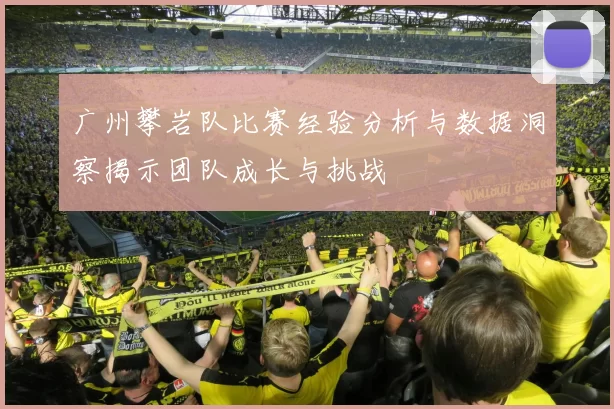 广州攀岩队比赛经验分析与数据洞察揭示团队成长与挑战